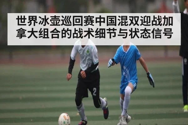 世界冰壶巡回赛中国混双迎战加拿大组合的战术细节与状态信号 | kaiyun